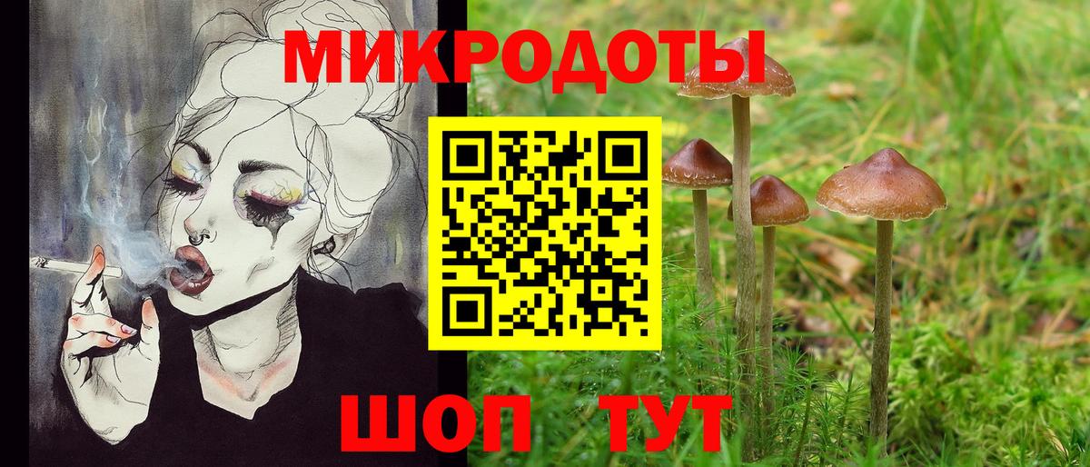 Псилоцибиновые грибы Magic Shrooms  Вход с VPN  Богданович 