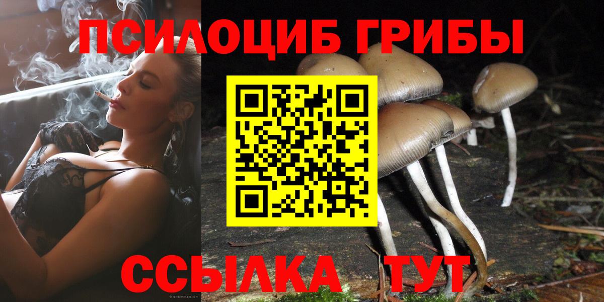 Галлюциногенные грибы ЛСД Богданович